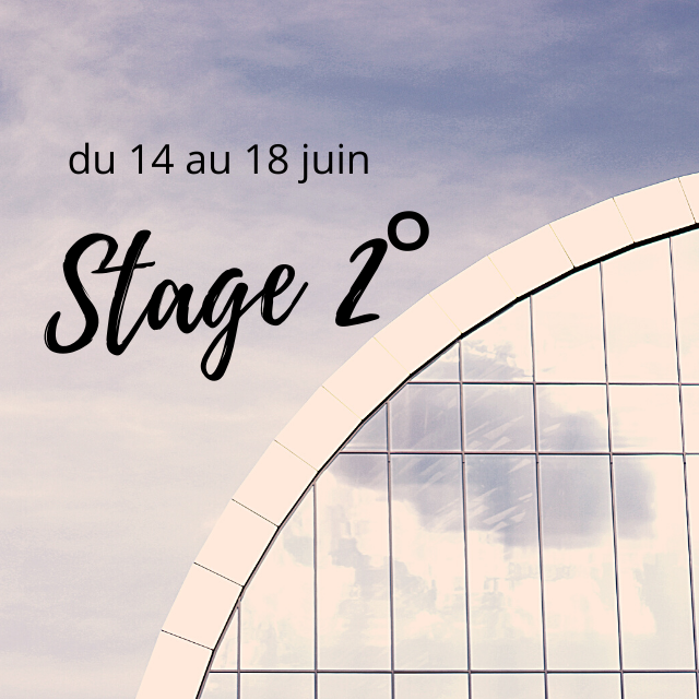 Stage 2° - Lycée