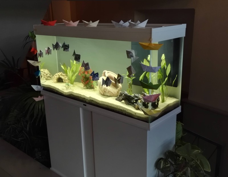 Nouvel aquarium